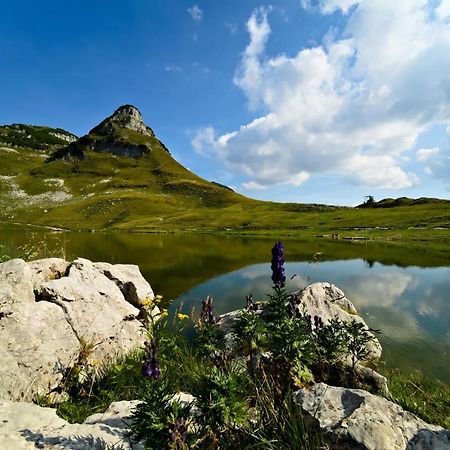 Guetl Plank Διαμέρισμα Altaussee Εξωτερικό φωτογραφία