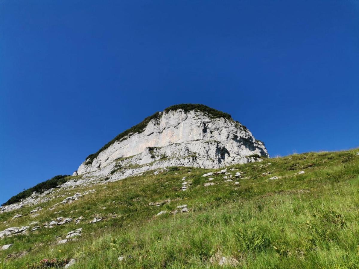 Guetl Plank Διαμέρισμα Altaussee Εξωτερικό φωτογραφία